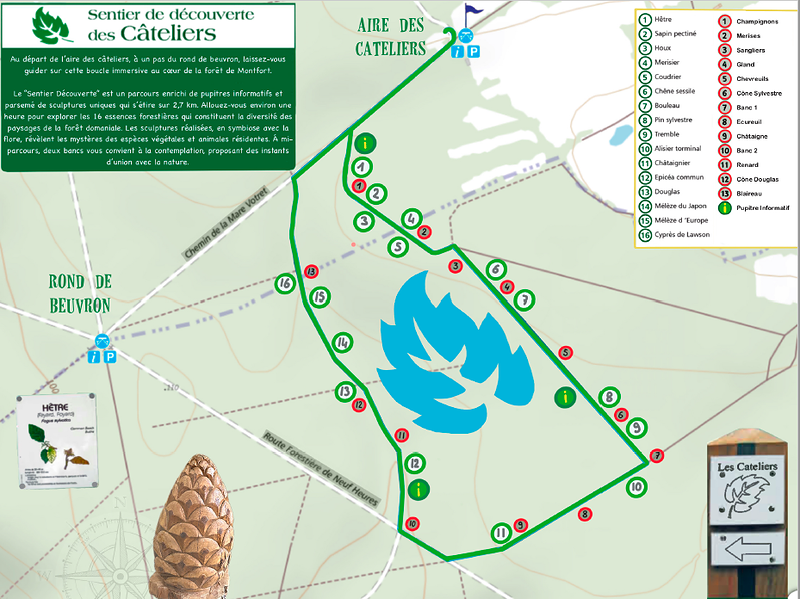 Le sentier de découverte des Cateliers abrite 16 essences d'arbres. Retrouvez cette carte dans le bloc "Pour se préparer". Vous croiserez aussi 13 sculptures réalisées par deux agents de l’équipe verte de la Communauté de communes du Pont-Audemer Val de Risle.
