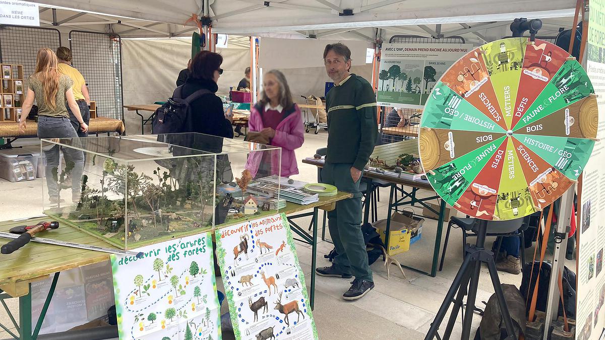 Didier Hacquemand, technicien forestier, anime le stand ONF et renseigne le public durant la semaine du développement durable de Vineuil (41).