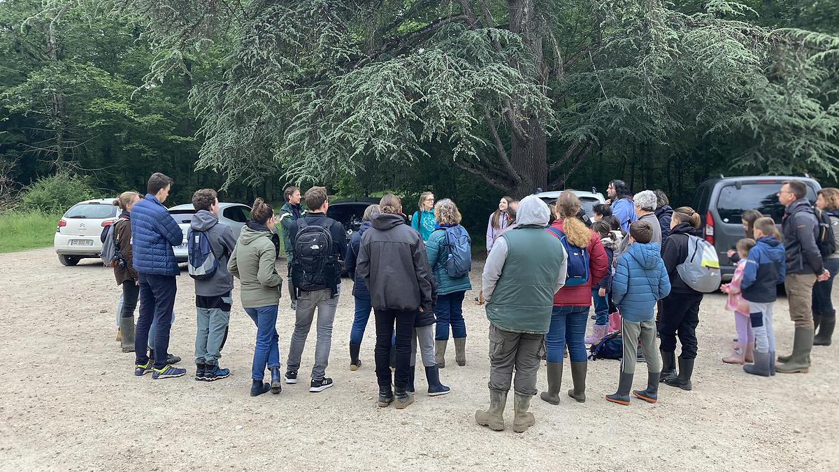 Les participants sont venus nombreux pour la sortie "découverte des amphibiens en forêt domaniale de Russy", avec l'ONF et le conseil départemental de Loir-et-Cher.