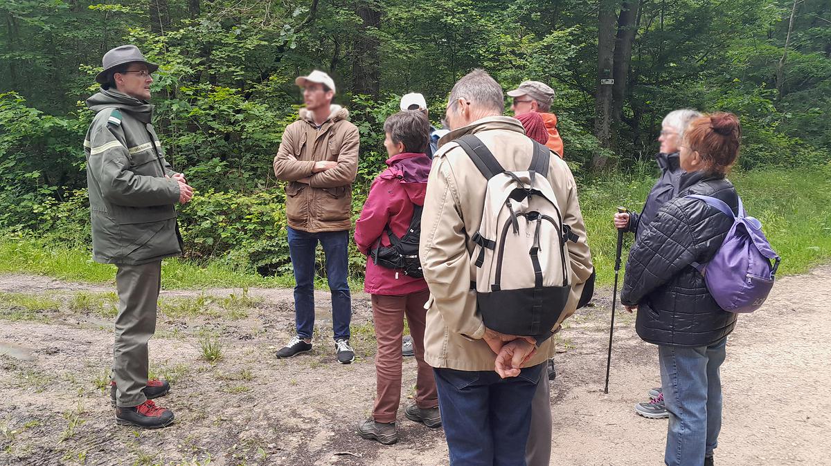 Pour ses "24h de la biodiversité", la Ville de Saran a sollicité Jean-Charles Millouet et Robin Dufour, techniciens ONF, pour une promenade commentée.