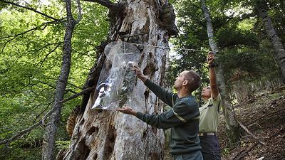 Forestiers en réserve biologique du Bois du Chapitre