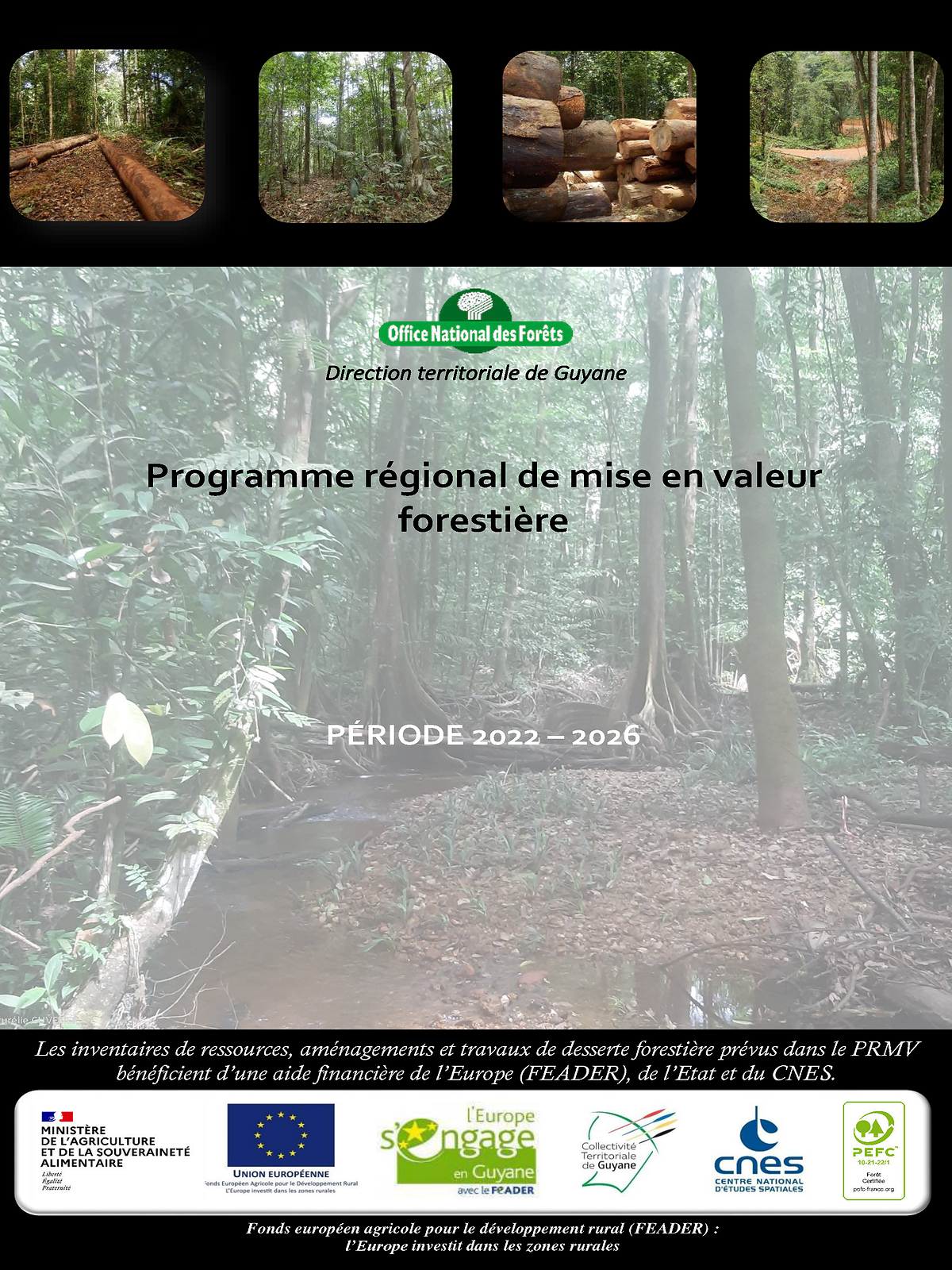 Forêt - Bois  Ministère de l'Agriculture et de la Souveraineté alimentaire